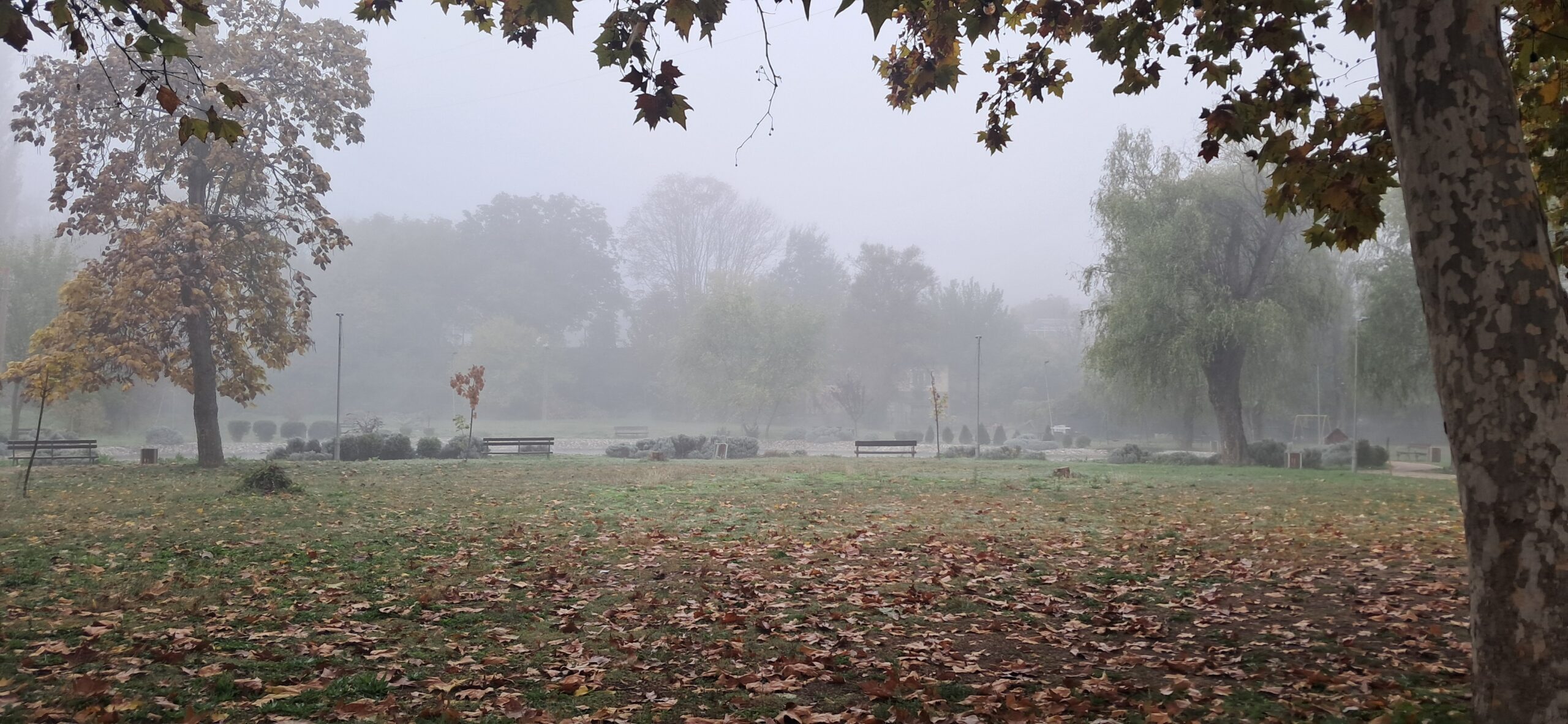 inbound3918115229219861751