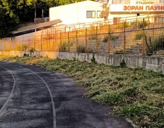 inbound6886418756763452584