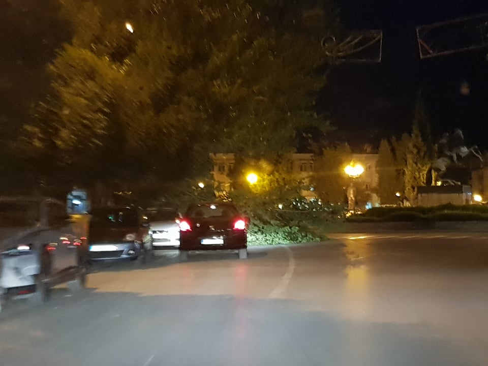 205720440_138025961753419_746469916433527441_n