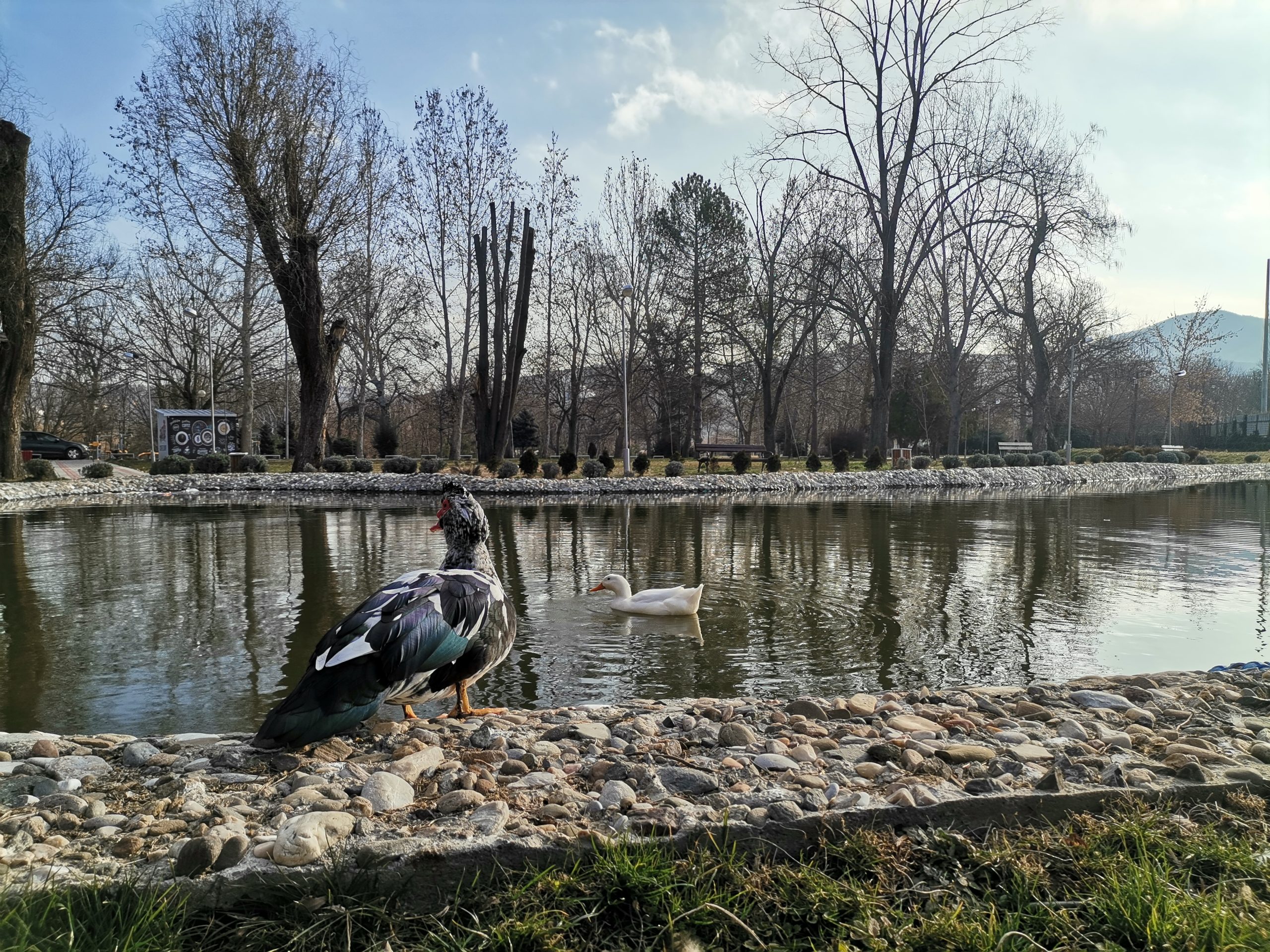 Veles, gradski park kaj ezerceto