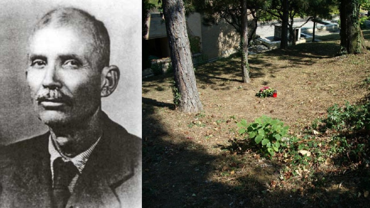 Panko naslovna