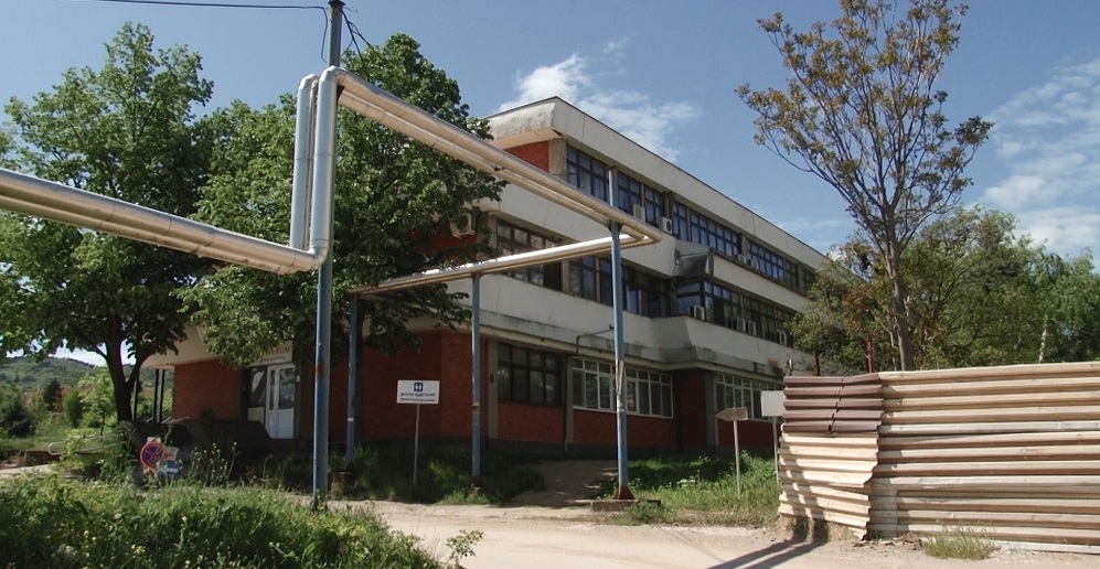 STIPSKO DETSKO