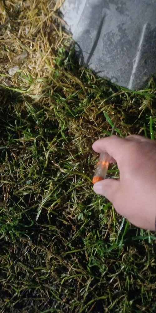 Vasil Glavinov kandelabra 3